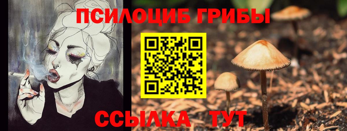 Галлюциногенные грибы Psilocybine cubensis  Вход с VPN  Луга  Галлюциногенные грибы MAGIC MUSHROOMS 