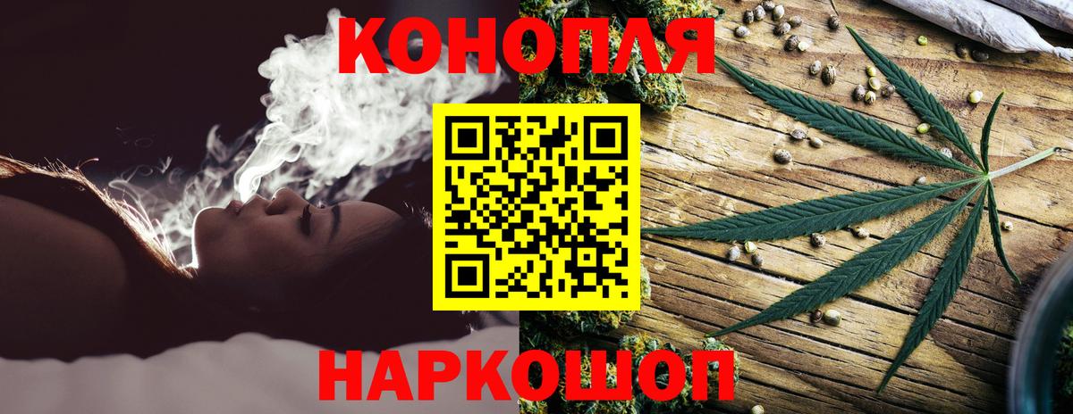Бошки марихуана сатива Луга