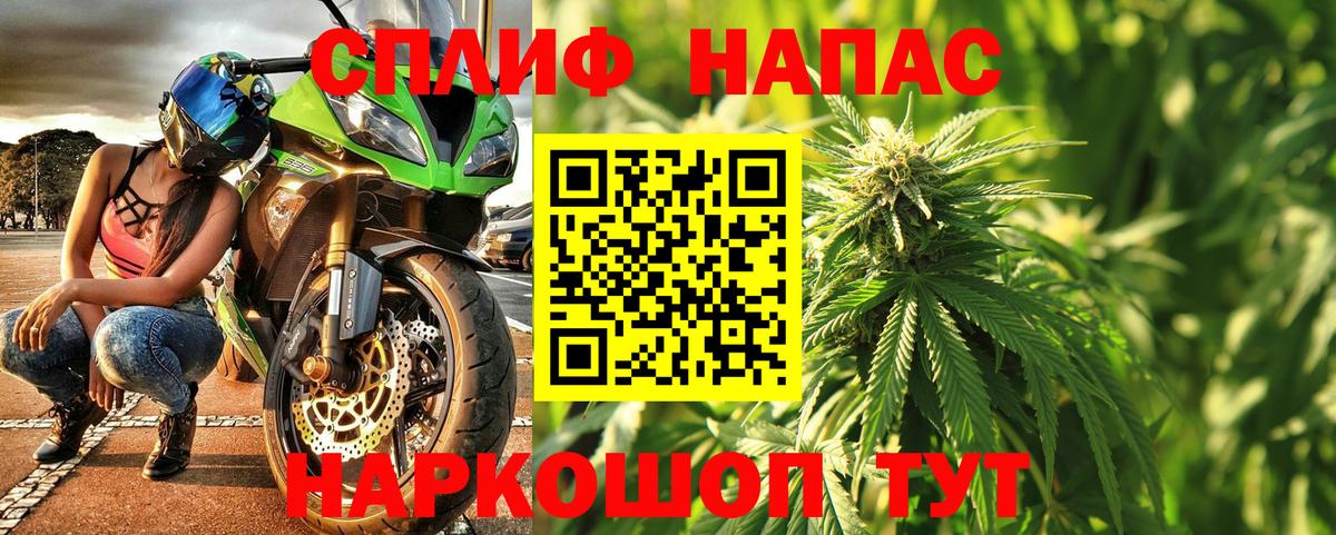 Шишки марихуана марихуана  Вход с VPN  Бошки Шишки White Widow  Марихуана сатива  МАРИХУАНА сатива  Луга 